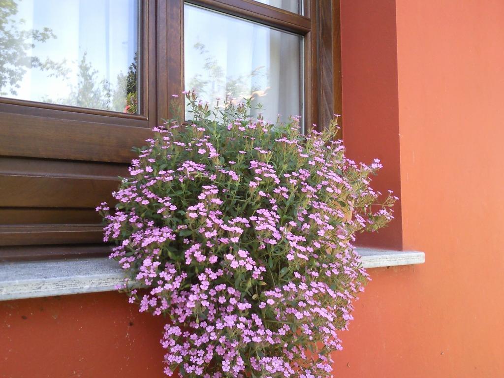 Apartamentos Rurales La Gueertona Ardines Екстериор снимка